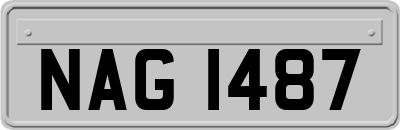 NAG1487