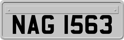 NAG1563