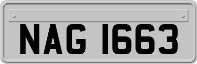 NAG1663