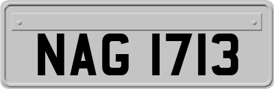NAG1713
