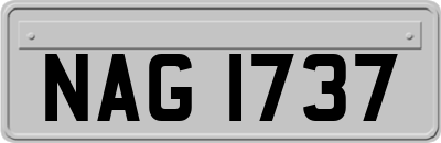 NAG1737