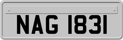 NAG1831