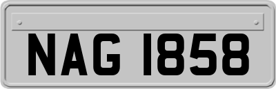 NAG1858