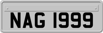 NAG1999