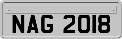 NAG2018