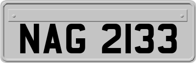 NAG2133