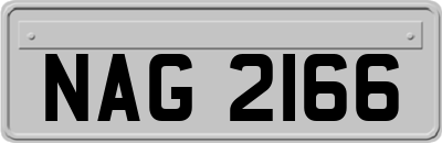 NAG2166