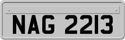 NAG2213