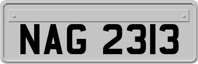 NAG2313