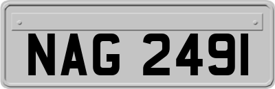 NAG2491