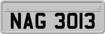 NAG3013