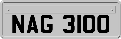 NAG3100