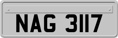 NAG3117