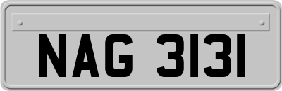 NAG3131