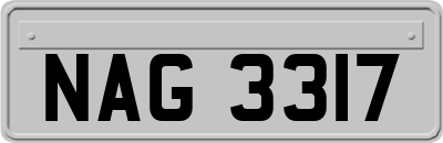 NAG3317