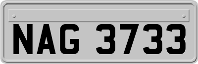 NAG3733