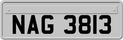 NAG3813