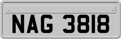 NAG3818