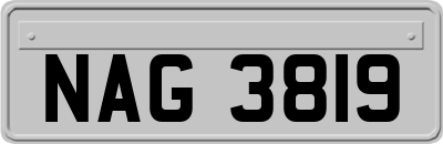 NAG3819