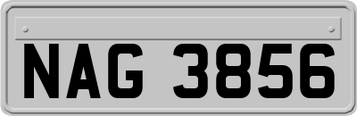 NAG3856