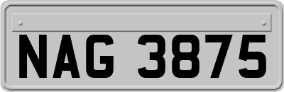 NAG3875