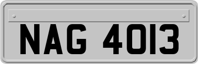 NAG4013