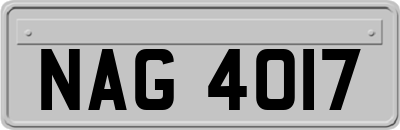 NAG4017