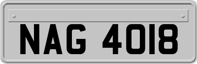 NAG4018