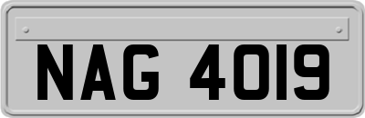 NAG4019