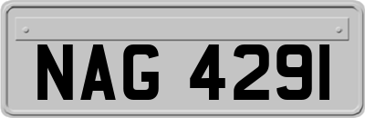 NAG4291