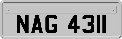 NAG4311