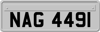 NAG4491