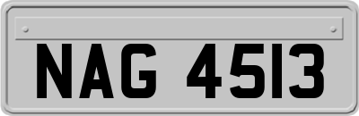 NAG4513