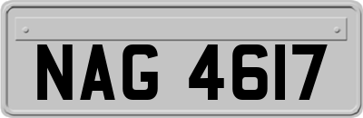 NAG4617