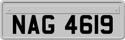 NAG4619