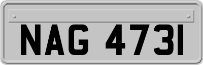 NAG4731