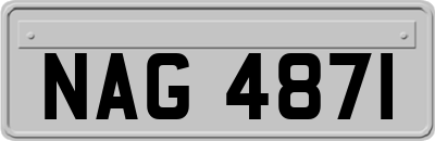 NAG4871