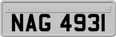 NAG4931