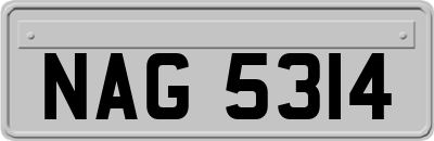 NAG5314