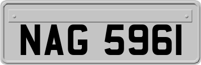 NAG5961