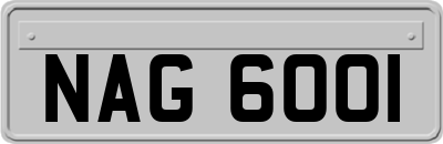 NAG6001