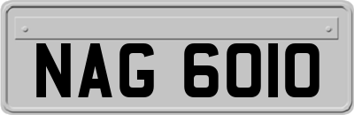 NAG6010