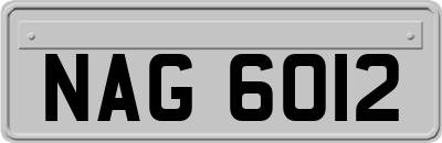 NAG6012