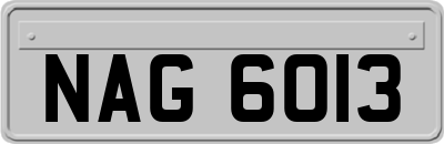 NAG6013