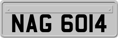 NAG6014