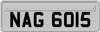 NAG6015