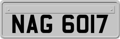 NAG6017