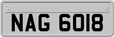 NAG6018