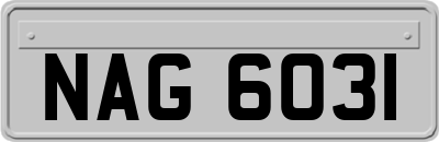 NAG6031