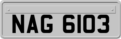 NAG6103